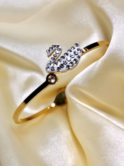 Premium Duck Style Bangle
