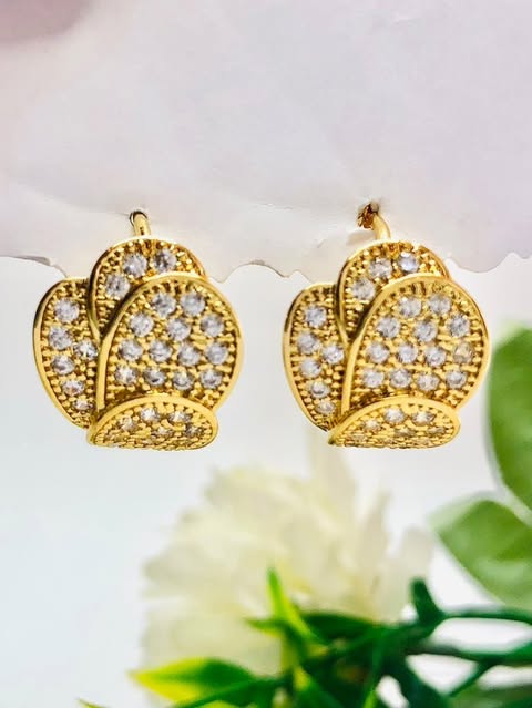 Elegant Sylish Earrings